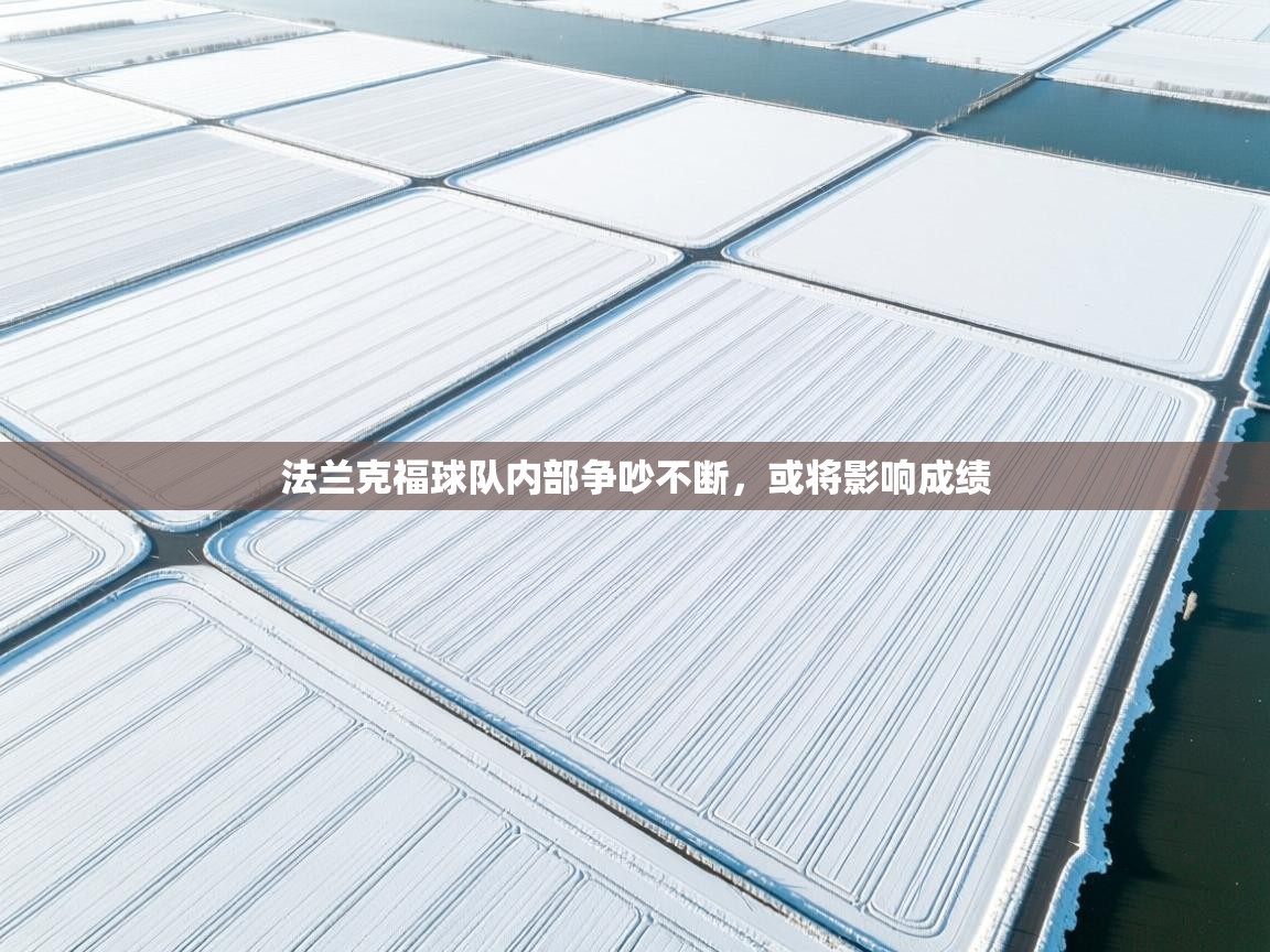 爱游戏真人体育娱乐-法兰克福球队内部争吵不断，或将影响成绩